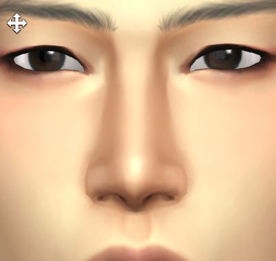 Brand New Nose slider by porkypine from Mod The Sims