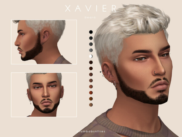 Xavier beard by Plumbobs n Fries from TSR
