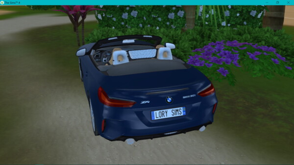BMW Z4 from Lory Sims