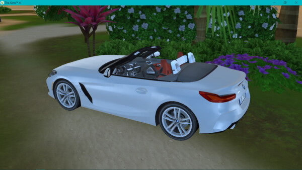 BMW Z4 from Lory Sims