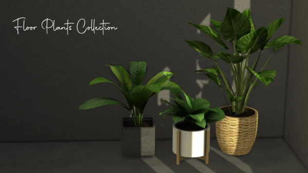 Floor Plants Collection from Sunkissedlilacs