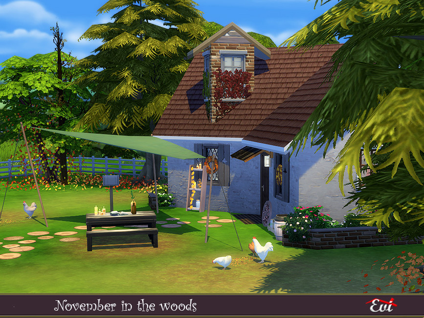November in the woods by evi from TSR