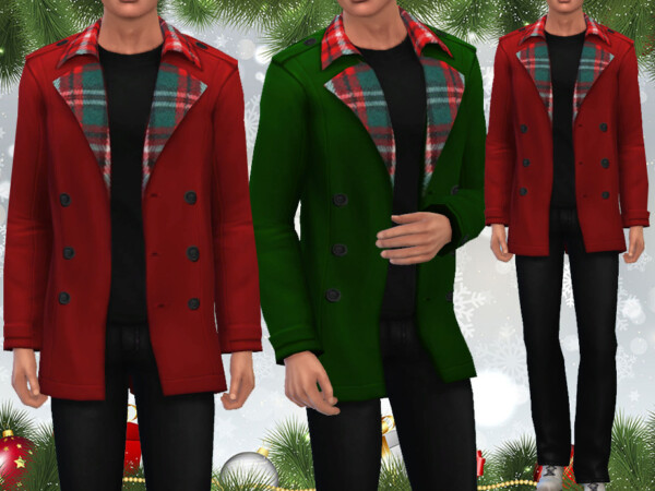 Xmas Special Coat Outfit by Saliwa from TSR