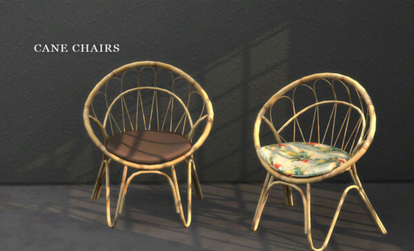 Open Book, Vases, Cane Chairs from Leo 4 Sims