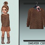 Sweater C301