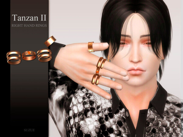 Tanzan II Rings by Suzue from TSR