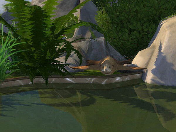 Hippos Heaven from KyriaTs Sims 4 World