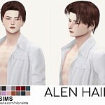 Alen Hair Sims 4 CC
