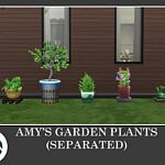 Amy’s Garden Plants by Teknikah