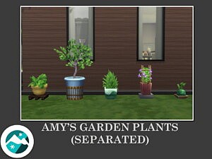 Amy’s Garden Plants by Teknikah