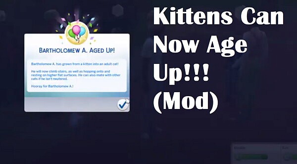 Cats Can Now Age Up! by letitgo1776 from Mod The Sims