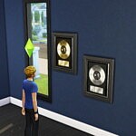 Gold and Platinum Records Set Wall Hangings Sims 4