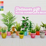 House Plants