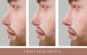 3 Man Nose Presets