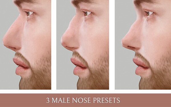 3 Man Nose Presets from Lutessa