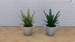 The Short Contemporary Radishly Plant Sims 4 CC