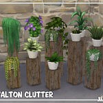 Walton Clutter Part 1