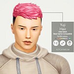 Yuji Hair Sims 4 cc