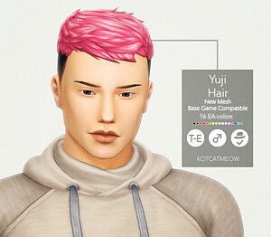 Yuji Hair Sims 4 cc