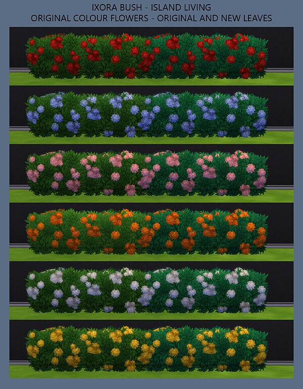 Ixora Bush by  Simmiller from Mod The Sims