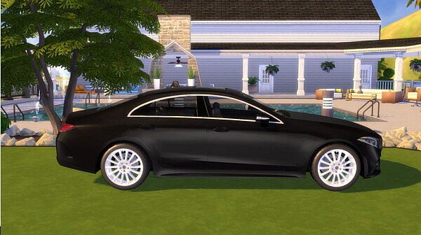 2019 Mercedes Benz CLS from Lory Sims