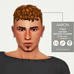 Aaron Hairstyle sims 4 cc