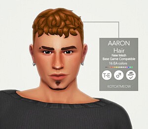 Aaron Hairstyle sims 4 cc