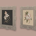 Botanical Paintings sims 4 cc