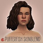 Puffer Fish Skinblend sims 4 cc