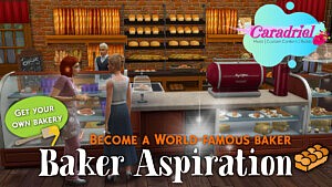 World Famous Baker Aspiration sims 4 cc