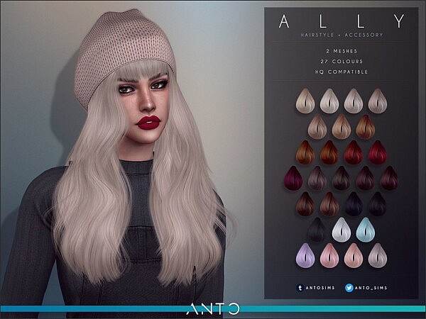 Ally Hairstyle by Anto from TSR