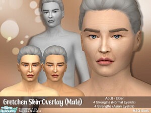 Gretchen Skin Overlay Male sims4 cc