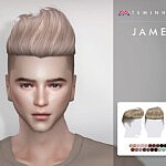 James Hair 144 sims 4 cc