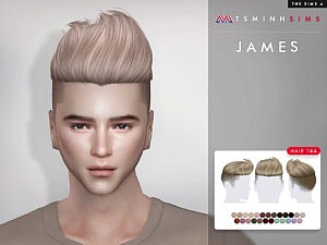 James Hair 144 sims 4 cc