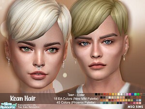 Kean Hair sims 4 cc