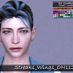 Streaks Wings ON1120 sims 4 cc