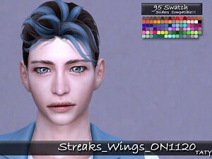 Streaks Wings ON1120 sims 4 cc