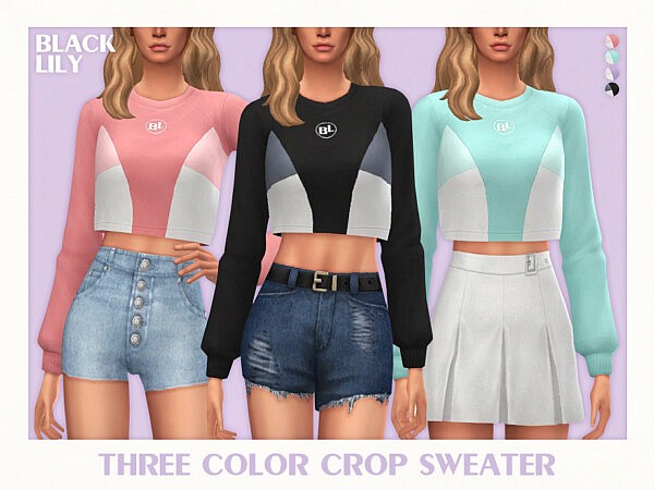 Three Color Crop Sweater by Black Lily from TSR