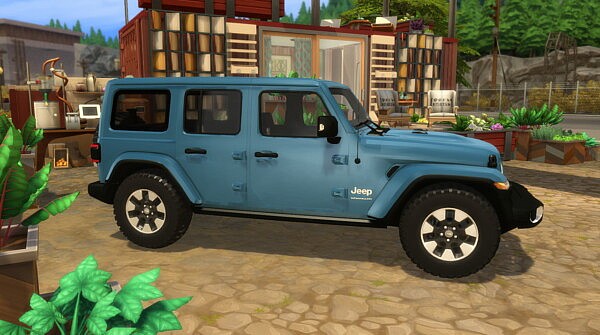 2018 Jeep Wrangler from Lory Sims