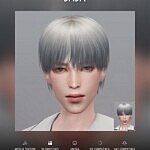 Hair JAJA sims 4 cc