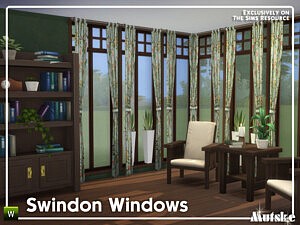 Swindon Construction Windows Part 1