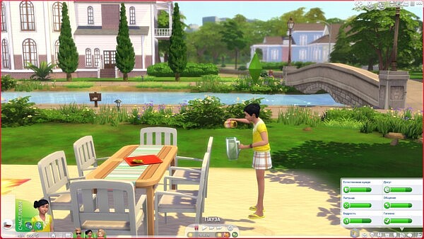 Children can make Lemonade, Ice Tea and Citrus Fizz on Back Yard Drink Tray by TheTreacherousFox from Mod The Sims
