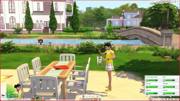 Children can make Lemonade, Ice Tea and Citrus Fizz on Back Yard Drink Tray by TheTreacherousFox from Mod The Sims