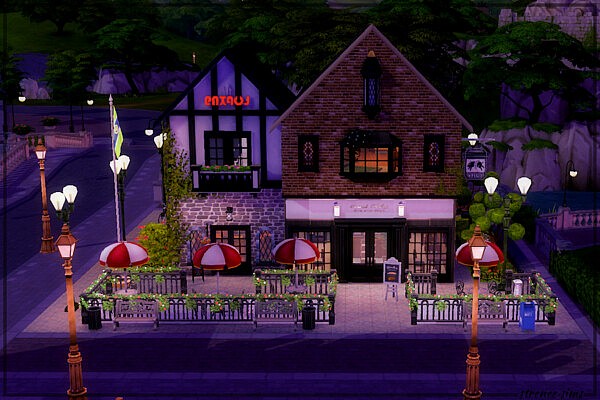 The Dancing Pig Pub from Strenee sims