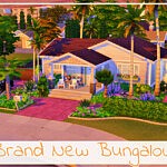 Brand New Bungalow