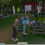 Evaluation brings more money sims 4 cc