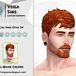 Facial Hair Style 24