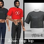 Jahan crop top
