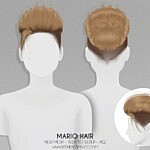Mario Hair