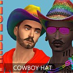 Rainbow Cowboy hat